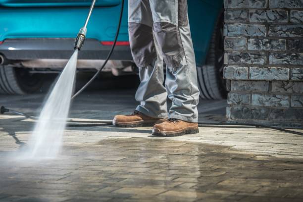 Best Gutter Cleaning  in Jamestown, NY