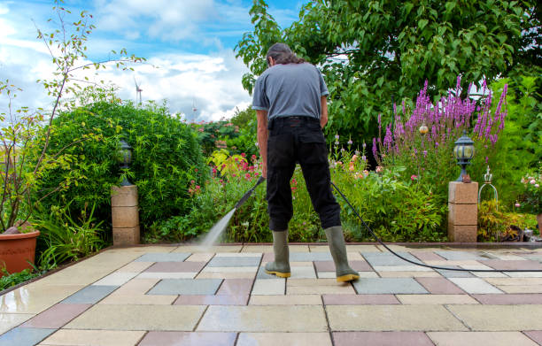 Best Animal Enclosure Cleaning  in Jamestown, NY